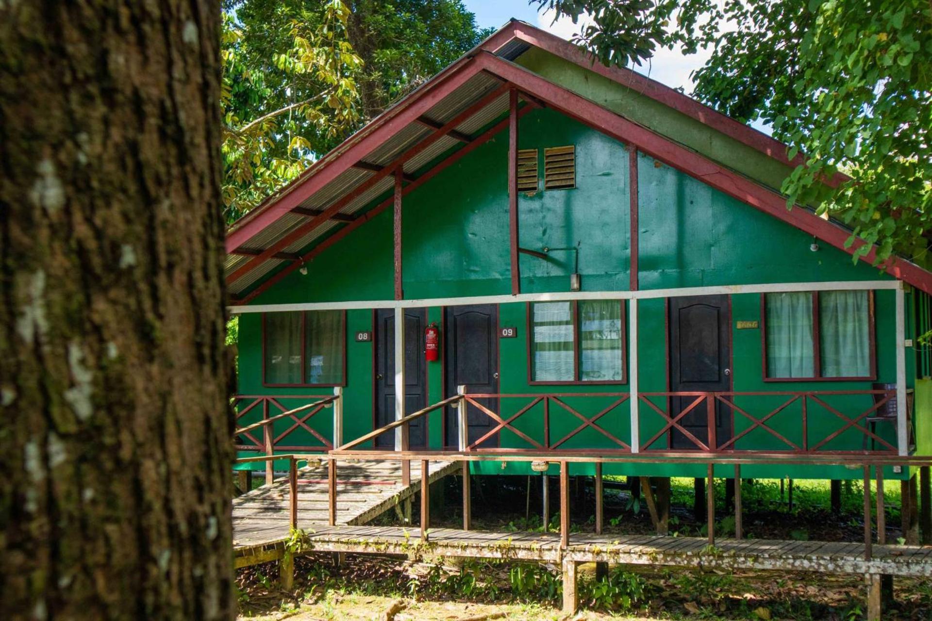 Sukau Greenview Bed & Breakfast Exterior foto